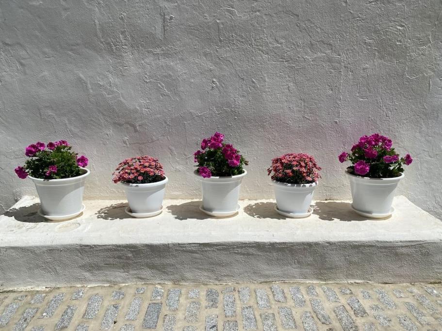 Casa Galeria La Retinta Βίλα Vejer de la Frontera Εξωτερικό φωτογραφία