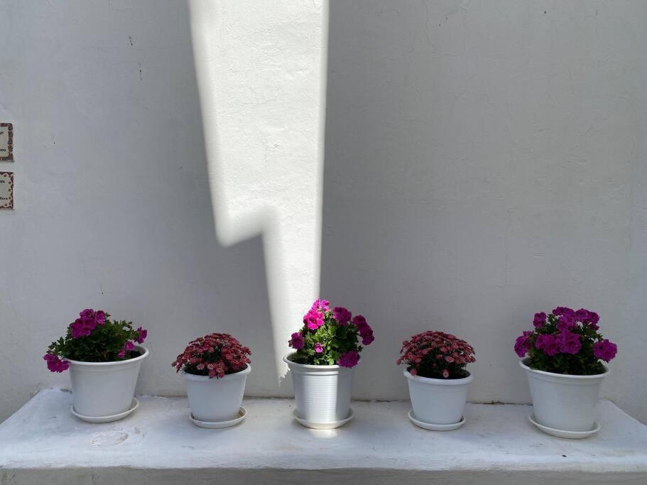 Casa Galeria La Retinta Βίλα Vejer de la Frontera Εξωτερικό φωτογραφία